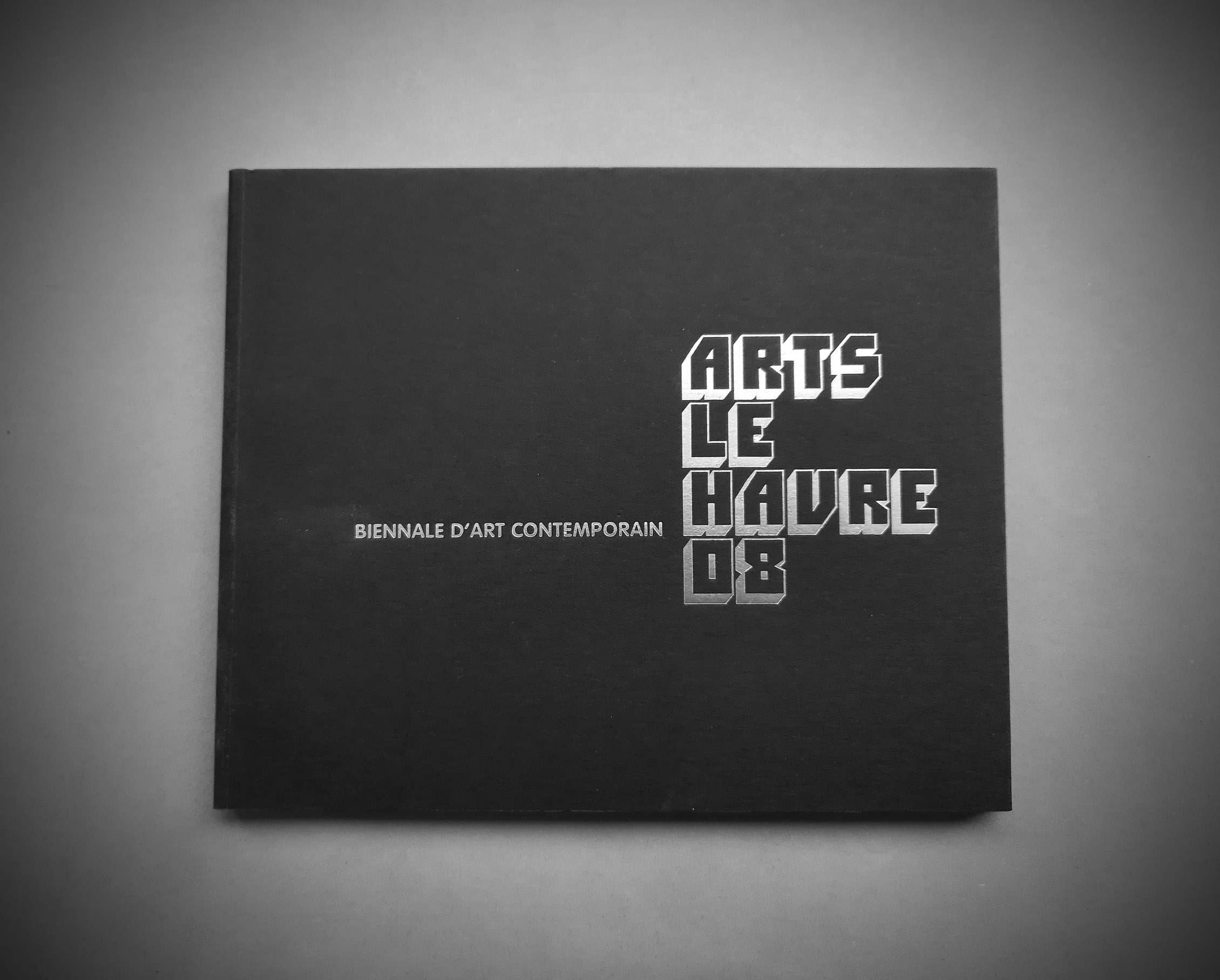 Biennial Le Havre 2008