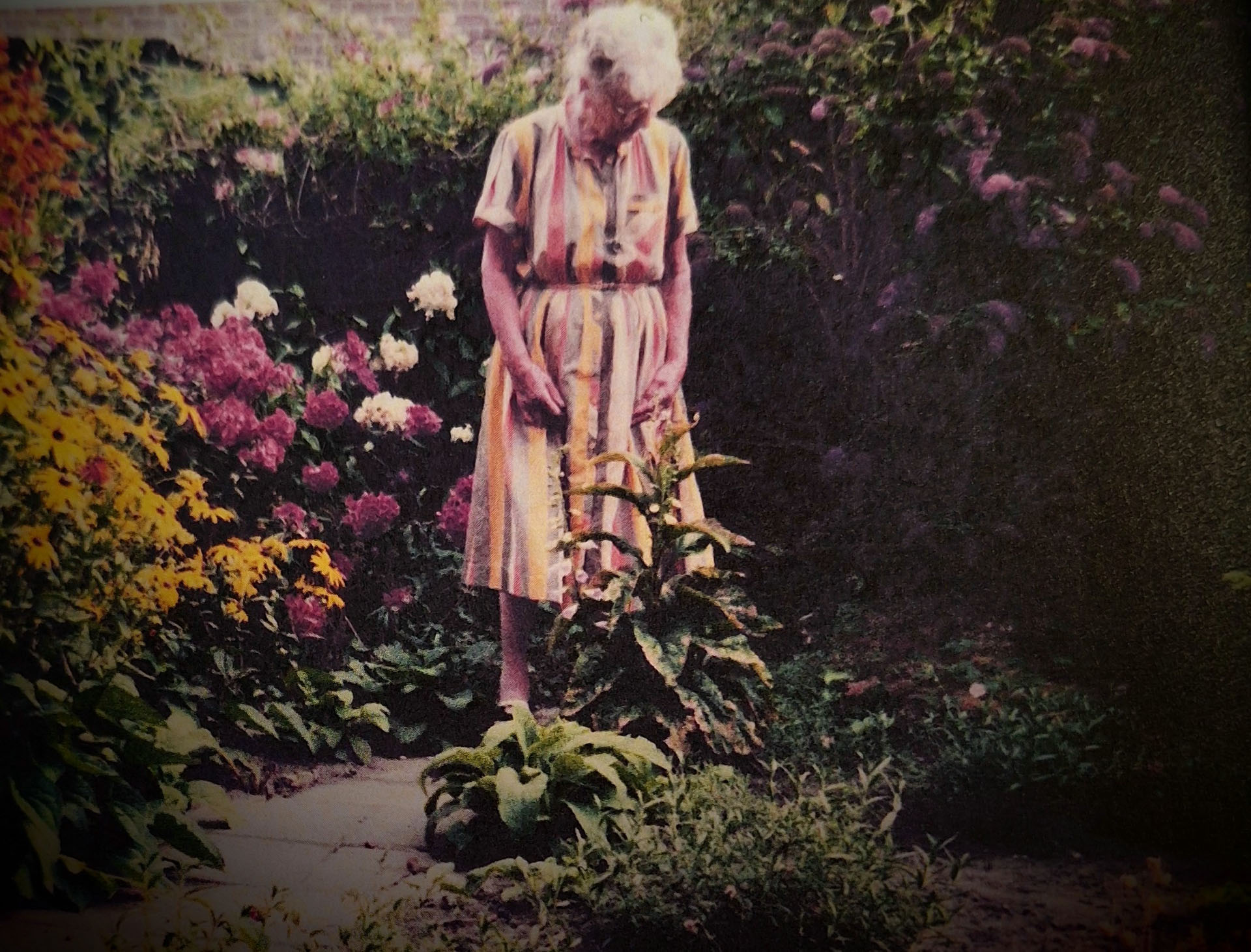 Column: Zoeken naar een 'Hart van Krimpen'